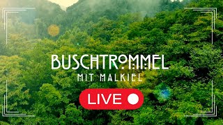 BUSCHTROMMEL live mit Malkiel [upl. by Acemahs]