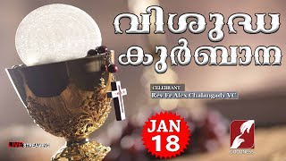 HOLY MASS LIVE  6 AM18 JAN 2024Rev Fr Alex Chalangady VCMALAYALAM QURBANATODAY MASSGOODNESS TV [upl. by Kristof]