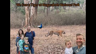 We Searched for Wild Tigers at Nagarahole National Park Were we successful  Travel Vlog [upl. by Yorgos]