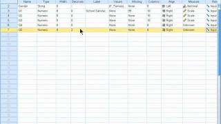 SPSS 19 Training  Adding and Deleting Variables [upl. by Filia]