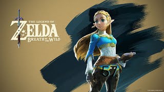 Let´s Play The Legend of Zelda BOTW Mastermodus 57  Der Pferdegott [upl. by Meryl]