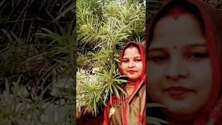 Mere Sathi tu hamesha mere sath raheHindi songfunny song video Priti Rawal Rajput2024🥰🥰 [upl. by Krid]