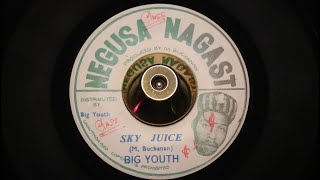 Big Youth  Sky Juice  Negusa Nagast  FBS 7974 45s [upl. by Ahsimit720]