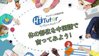 【HiTutor オンライン外国語】体の部位を中国語で言ってみよう！ [upl. by Gold]