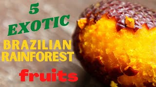 5 Popular Brazilian Rainforest Fruits from the Amazon [upl. by Nnaasil697]