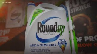 How much of Monsantos Roundup is safe to eat [upl. by Nosdrahcir306]