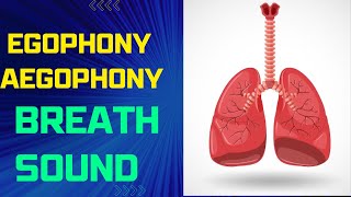 Egophony  Aegophony Breath sound  egophony lung sound [upl. by Patty]