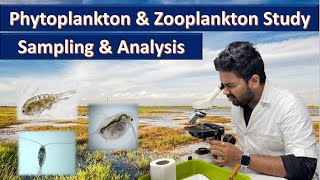 Phytoplankton and zooplankton study sampling and analysis  2022 [upl. by Tarkany442]