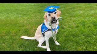 Graduation Ceremony  Southeast Region  February 9 2024  Canine Companions [upl. by Jr911]