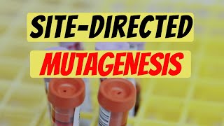 SiteDirected Mutagenesis Explained Genetic Engineering [upl. by Atteloc254]