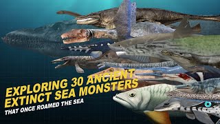 Exploring 30 Ancient Extinct Sea Monsters That Once Roamed the Sea [upl. by Dnalwor]