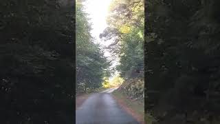 Driving down the Wicklow mountains in Ireland [upl. by Seldun]