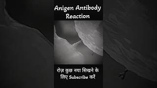 Antigen Antibody Reaction dadhichsir bsc neet shorts youtubeshorts [upl. by Eiramana79]