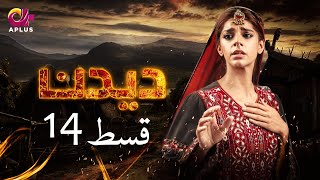 Deedan  Episode 14  Aplus Dramas  Sanam Saeed Mohib Mirza Ajab Rasheed  Pakistani Drama [upl. by Ladnik40]