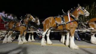 Clydesdale Christmas Special 2016 [upl. by Ahael721]