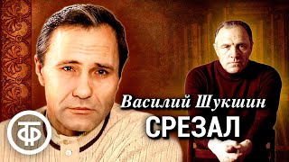 Василий Шукшин Срезал Рассказ Читает Михаил Ульянов 1982 [upl. by Funda]