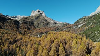 Autunno in Valle Stretta  Bardonecchia [upl. by Annehsat]