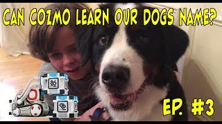 Cozmo the Robot  Can He Learn Our Dogs Name  Episode 3  cozmoments [upl. by Fran]