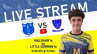 LIVE Hailsham V Little Common Sussex Cricket League  Division 4 East [upl. by Sutton]