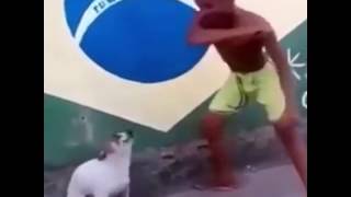 VIROU MEME VÍDEO ENGRAÇADO CACHORRO E MENINO DANÇANDO FUNK [upl. by Allister705]