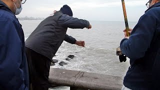 PESCA CON DRONE MIREN LO QUE PESCARON MUY BUENAS CAPTURAS Y HUMOR [upl. by Enelym679]