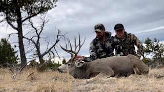 The Gutless Method in Detail gutlessmethod fielddressing deerhunting deer biggame hunting [upl. by Davie]