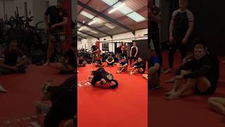 Brazilian Jiu Jitsu Seminars by Jason Tan captive the crowd 🥋 BJJ jiujitsu martialarts [upl. by Tulley4]