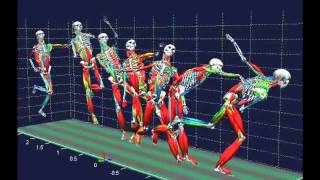 Biomechanical analysis [upl. by Chenee]