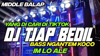 DJ PARTY IM LO ALE TJAP BEDIL ANDALAN BREWOG AUDIO BY HKS PROJECT [upl. by Oeflein]