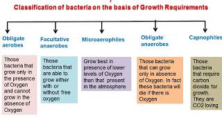 Classification of Bacteria [upl. by Kram]