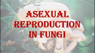 PlantBiodiversityReproduction in Fungi Asexual reproduction [upl. by Akina379]