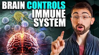 BrainBody Immune Axis Controls Inflammatory Response [upl. by Blackstock]