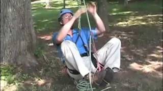 Climbing trees using the rope technique [upl. by Vey]