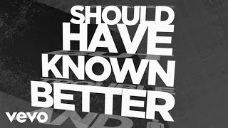 Hinder  Should Have Known Better Official Lyric Video [upl. by Falk]