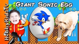 We Open a Giant SONIC Surprise Egg while HobbyDog Races Toys with HobbyKids [upl. by Bury233]