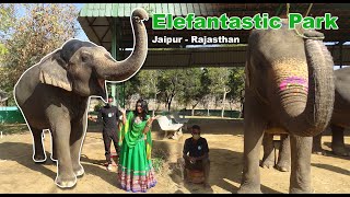 Jaipur  Elefantastic Park  WandergurlAdventures [upl. by Nareht404]