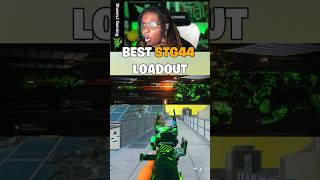 BEST STG44 LOADOUT🤯 [upl. by Thoma]