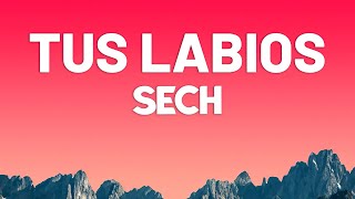 Sech  Tus Labios LetraLyrics [upl. by Nanine]