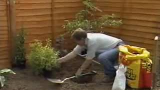 Gardeners World  First Time Planting  Planting Borders 1989 [upl. by Hailed475]