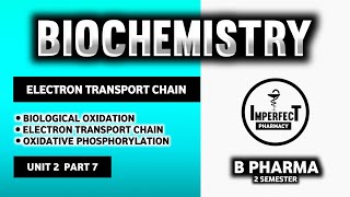 Electron Transport Chain  Oxidative Phosphorylation  Biological Oxidation  Biochemistry  B Pharm [upl. by Attemaj]