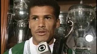 Palmeiras Campeão do Brasil em 1994 Reportagem EE 2013 [upl. by Ellennaj971]