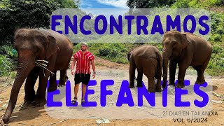 21 días en TAILANDIA 🇹🇭 ELEFANTES CHIANG MAI Que ver y que hacer PARTE 6 [upl. by Nodlehs790]