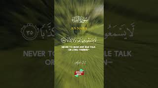 Heal your Soul  Surah AnNaba the tidings سورة النبأ  3237 Quranic Music [upl. by Conrade587]