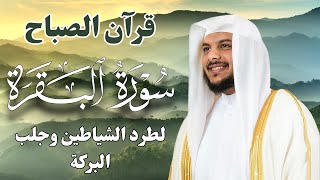 قرآن الصباح  سورة البقرة لحفظ وتحصين المنزل  بصوت القارئ هيثم الدخين  جودة عالية [upl. by Arline915]