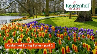 Keukenhof Spring Series part 2  Keukenhof 2021 🌷 [upl. by Akimehs]