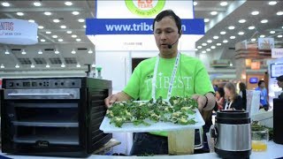 How to Make Kale Chips in the Sedona Dehydrator using 3 Ingredients [upl. by Sikata546]