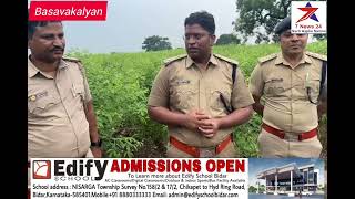 Basavakalyan  Bidar Police Ne Basavakalyan Taluke Ke Ujlamb Mein Ganje Ke Khet Mein Ki Raid [upl. by Reneta23]