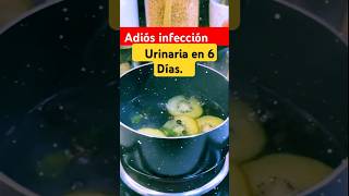 Remedio Natural para Infecciones Urinarias ¡Recupera tu Salud [upl. by Lattimer453]