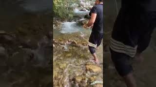 Crystal Clear Water Net Fishing [upl. by Duff]