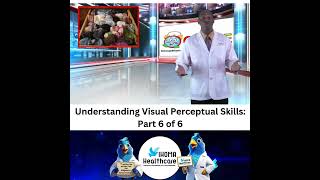 Gaining a Better Understanding of Visual Perceptual Skills Part 6 of 6 [upl. by Valery]